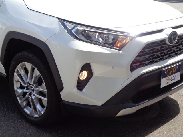 TOYOTA RAV4 4WD 2019