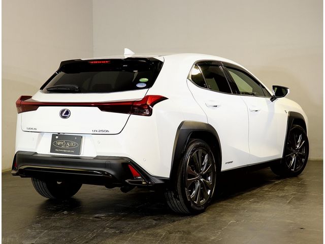 TOYOTA LEXUS UX250h 2020