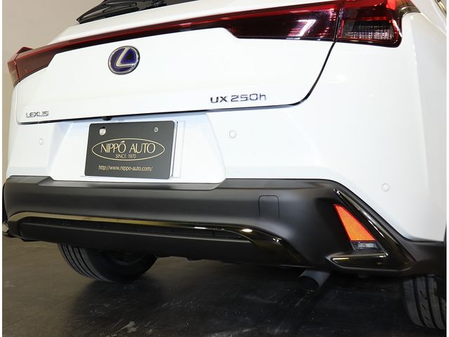 TOYOTA LEXUS UX250h 2020