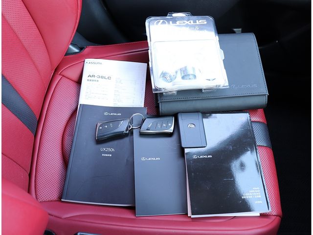 TOYOTA LEXUS UX250h 2020