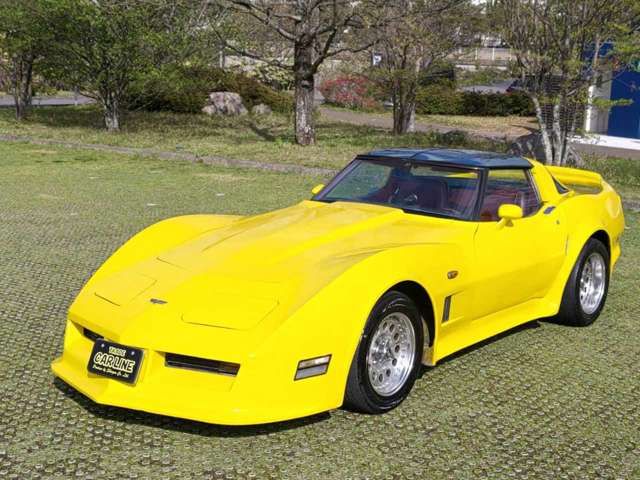 CHEVROLET CHEVROLET CORVETTE COUPE 1988