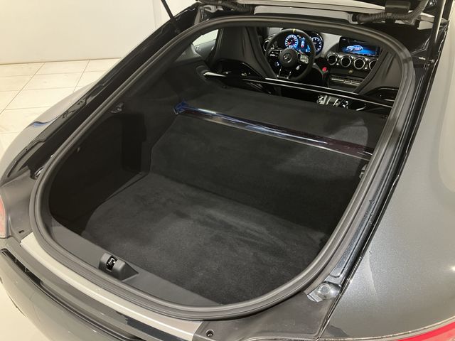 MERCEDES BENZ MERCEDES AMG GT R 2019