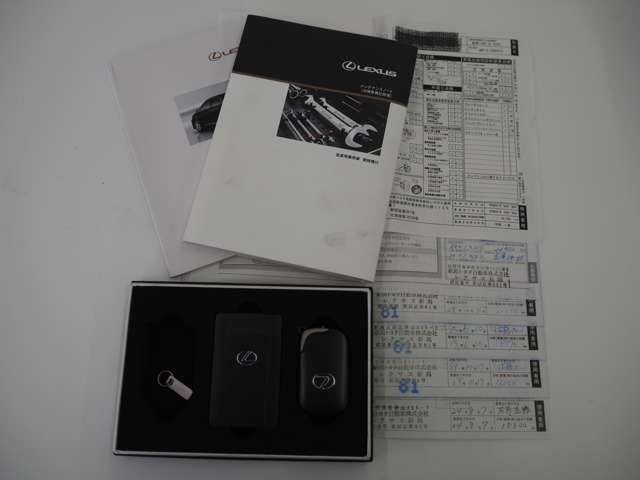 TOYOTA LEXUS HS250h 2009