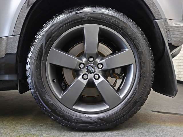 ROVER ROVER DEFENDER 2024