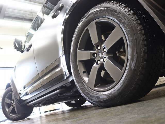 ROVER ROVER DEFENDER 2024