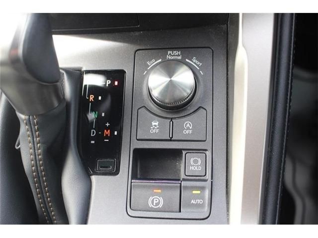 TOYOTA LEXUS NX300 2020