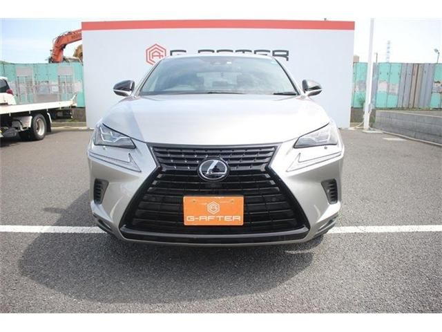 TOYOTA LEXUS NX300 2020