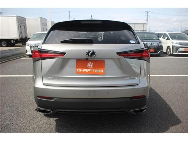 TOYOTA LEXUS NX300 2020