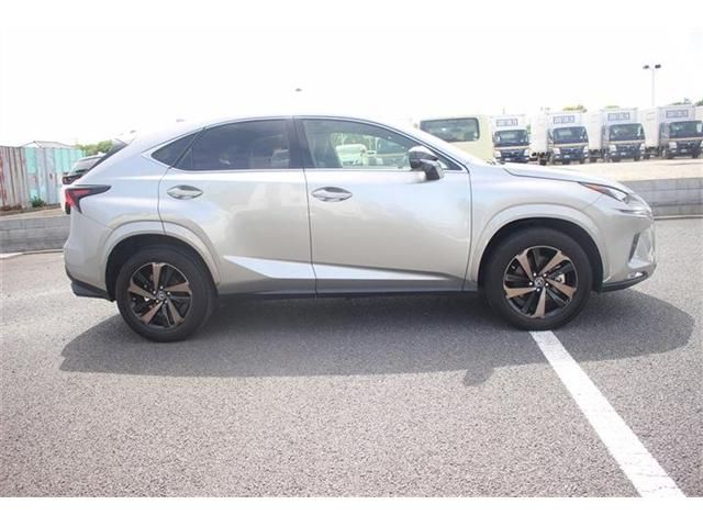 TOYOTA LEXUS NX300 2020
