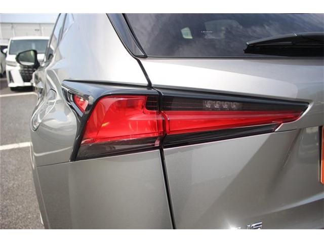 TOYOTA LEXUS NX300 2020