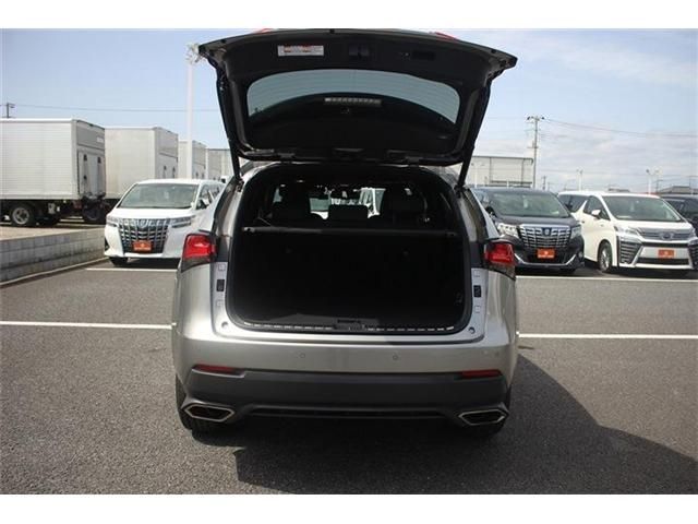 TOYOTA LEXUS NX300 2020