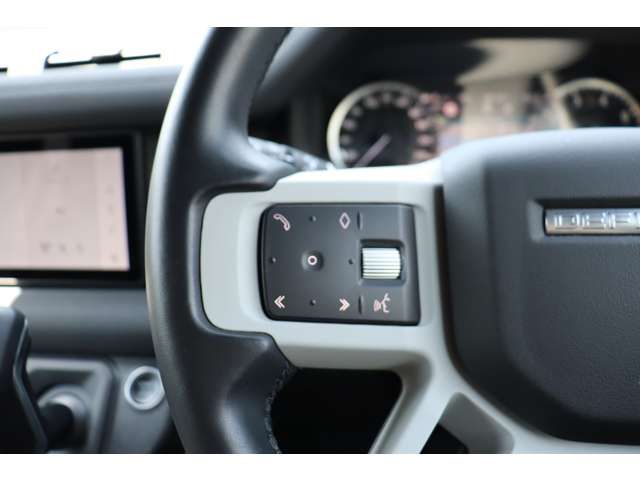 ROVER ROVER DEFENDER 2022