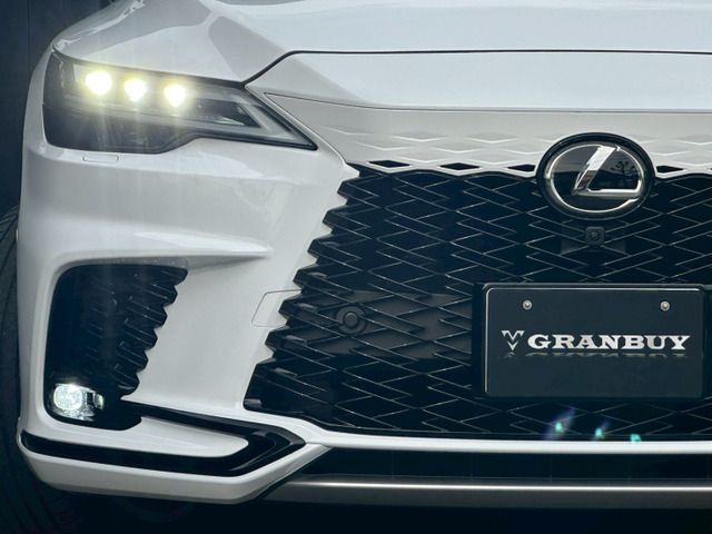 TOYOTA LEXUS RX500h 2023