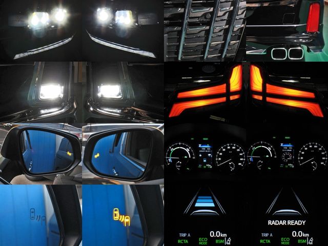 TOYOTA ALPHARD hybrid 4WD 2019