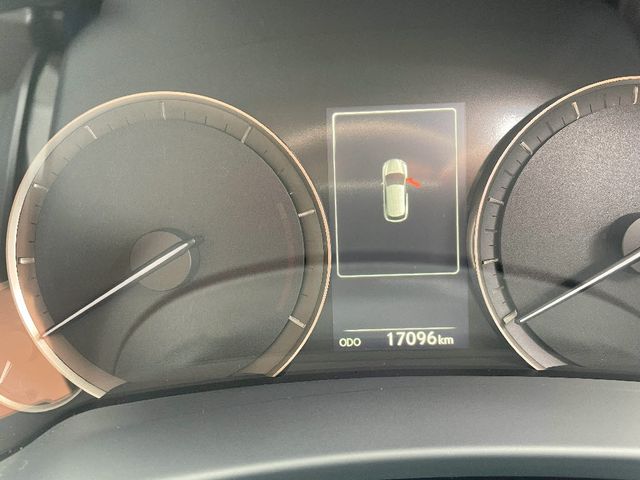 TOYOTA LEXUS RX450hL AWD 2022