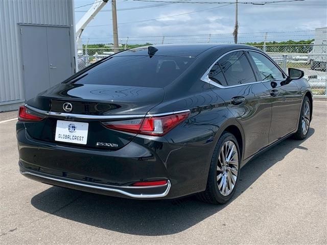 TOYOTA LEXUS ES300h 2023