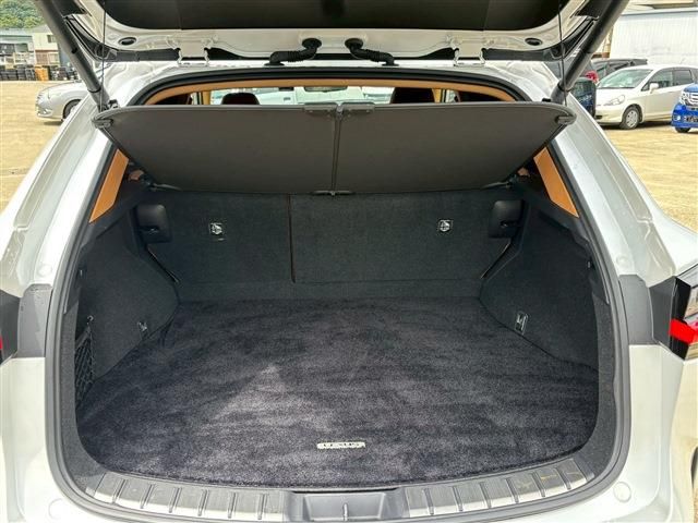 TOYOTA LEXUS NX350h 2023