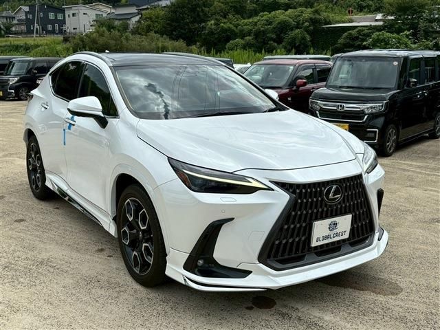 TOYOTA LEXUS NX350h 2023