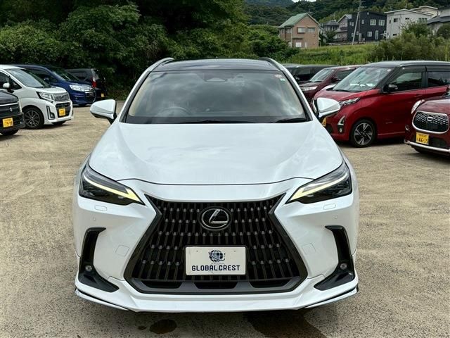 TOYOTA LEXUS NX350h 2023