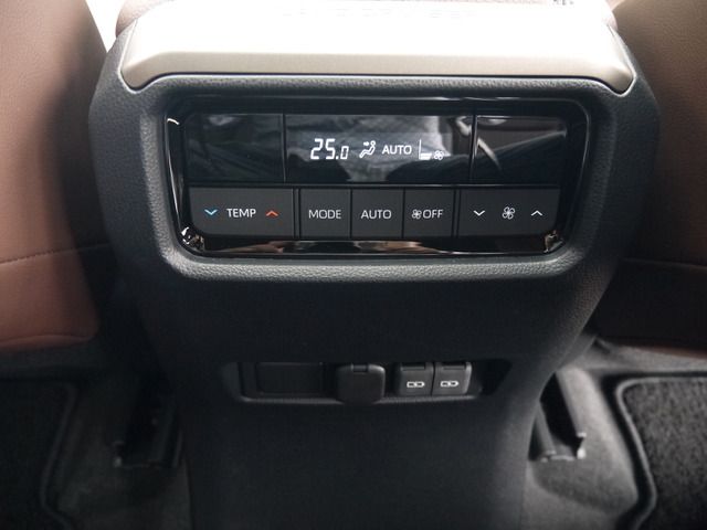 TOYOTA LANDCRUISER 250 2024