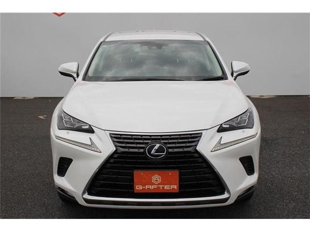 TOYOTA LEXUS NX300h 2018