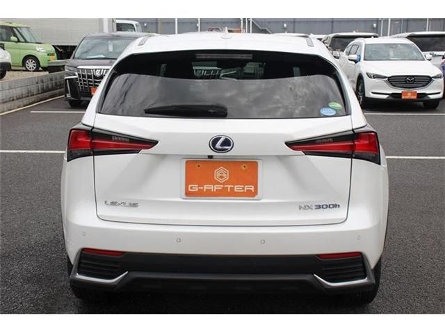 TOYOTA LEXUS NX300h 2018