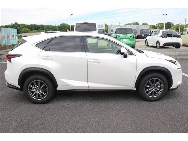 TOYOTA LEXUS NX300h 2018