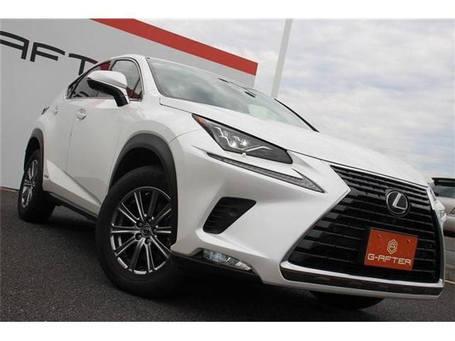 TOYOTA LEXUS NX300h 2018