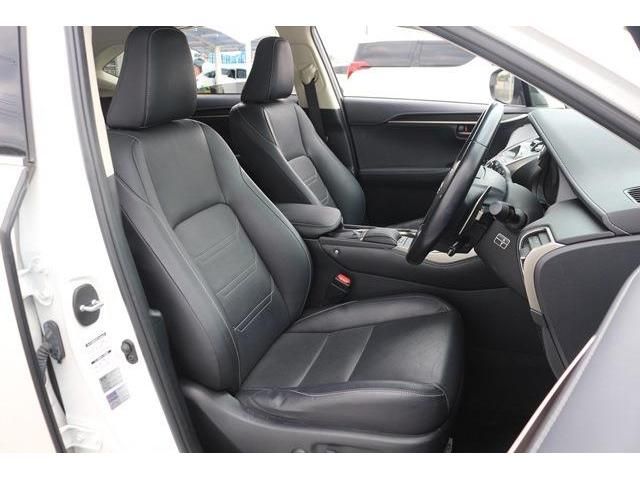 TOYOTA LEXUS NX300 2017