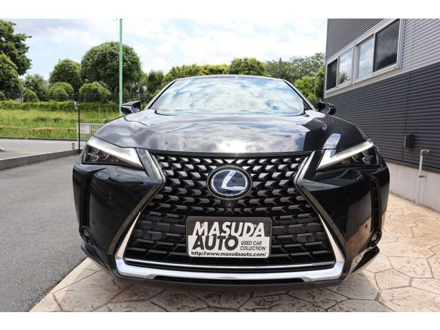TOYOTA LEXUS UX300e 2021