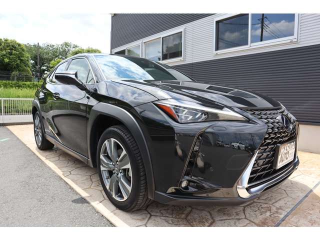 TOYOTA LEXUS UX300e 2021