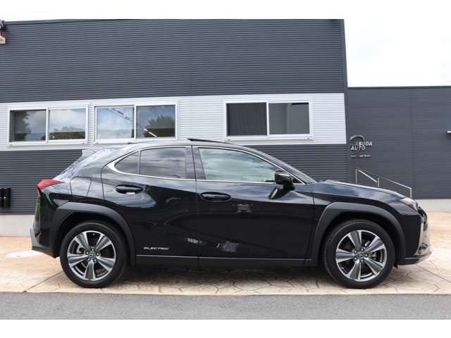 TOYOTA LEXUS UX300e 2021