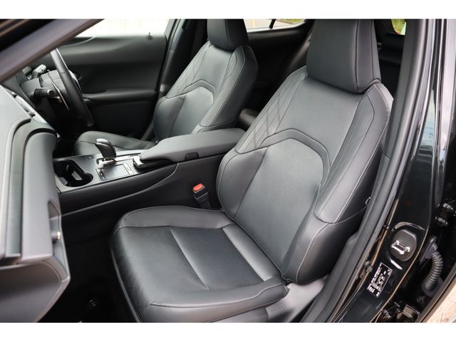 TOYOTA LEXUS UX300e 2021