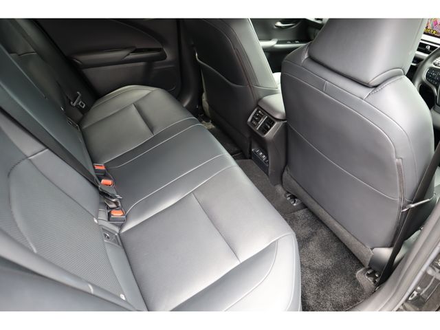 TOYOTA LEXUS UX300e 2021