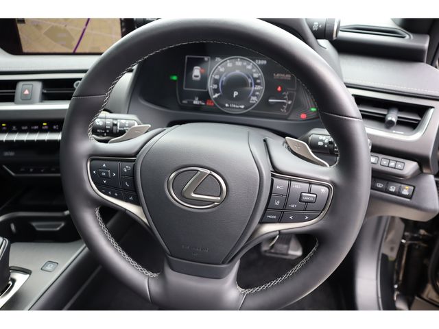 TOYOTA LEXUS UX300e 2021