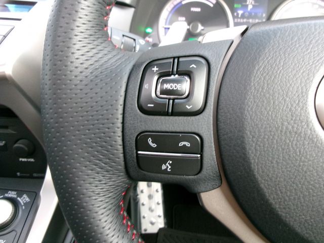 TOYOTA LEXUS NX300h 2015