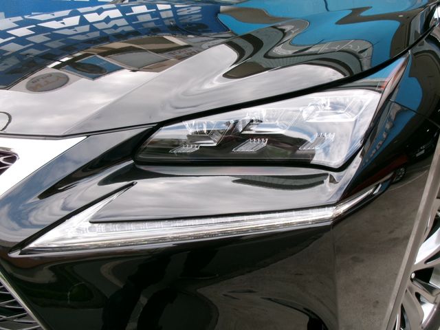 TOYOTA LEXUS NX300h 2015