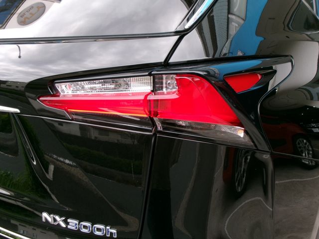 TOYOTA LEXUS NX300h 2015