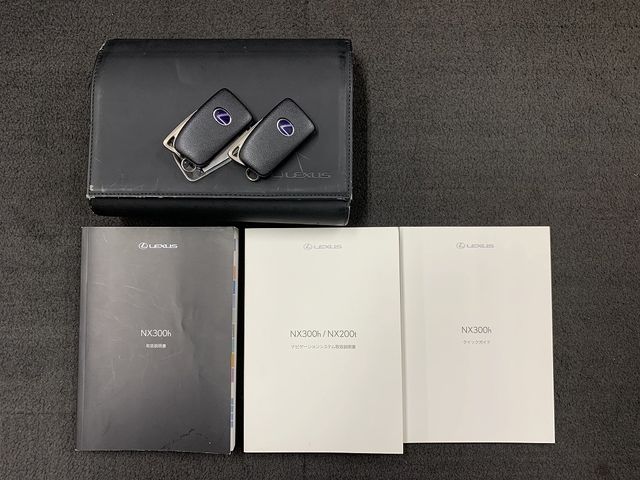 TOYOTA LEXUS NX300h 2015