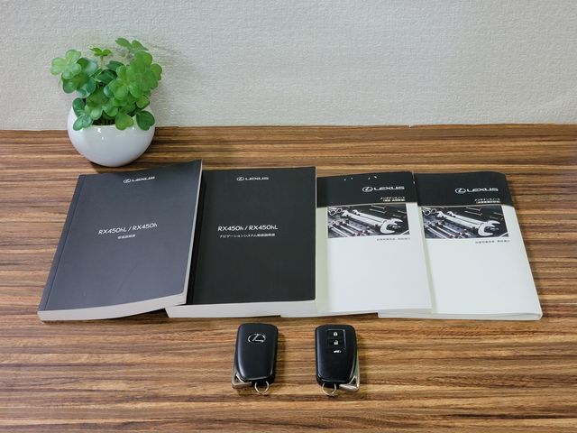 TOYOTA LEXUS RX450h 2WD 2020