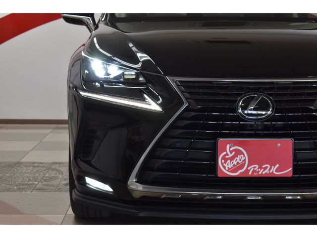 TOYOTA LEXUS NX300 AWD 2017