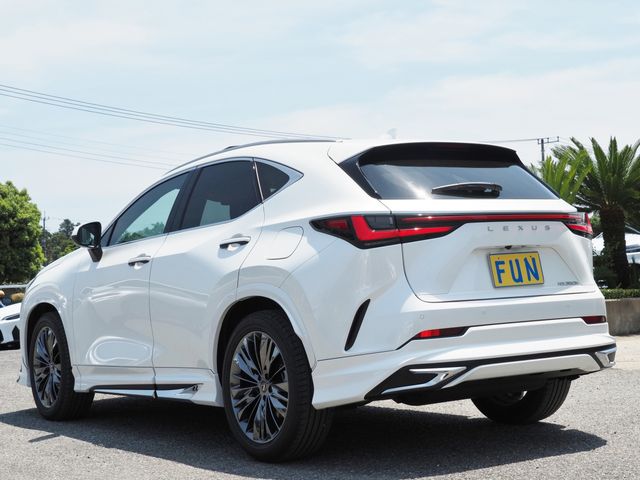 TOYOTA LEXUS NX350h 2023