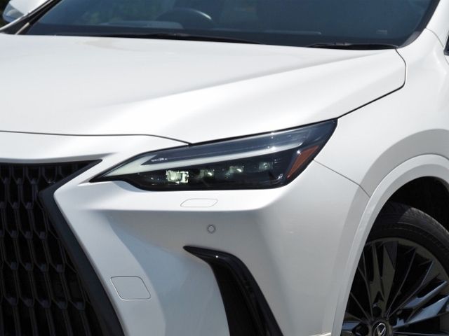 TOYOTA LEXUS NX350h 2023