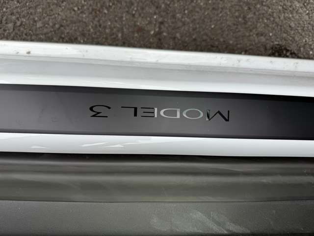 TESLA TESLA MODEL 3 2022