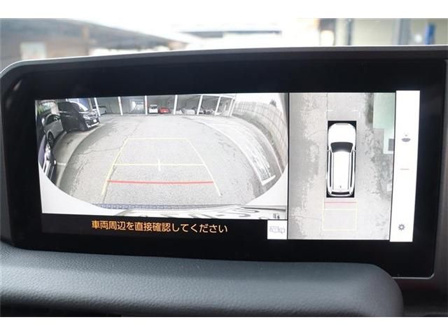 TOYOTA LANDCRUISER 250 2024