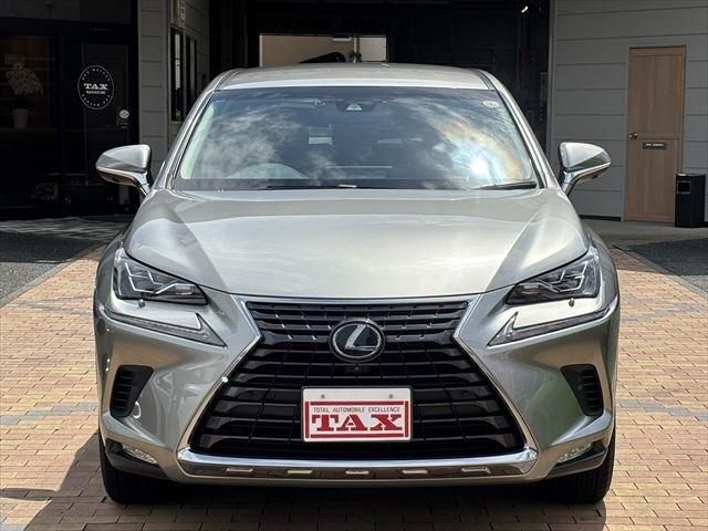 TOYOTA LEXUS NX300h 2018