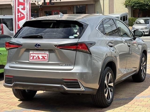 TOYOTA LEXUS NX300h 2018