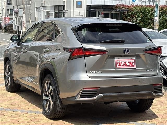 TOYOTA LEXUS NX300h 2018