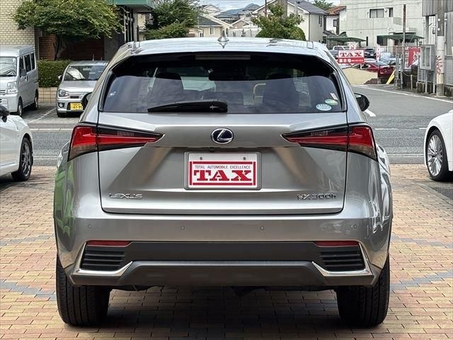 TOYOTA LEXUS NX300h 2018