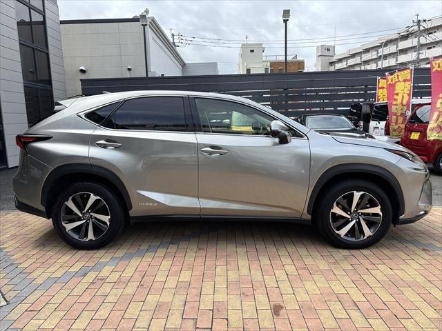 TOYOTA LEXUS NX300h 2018